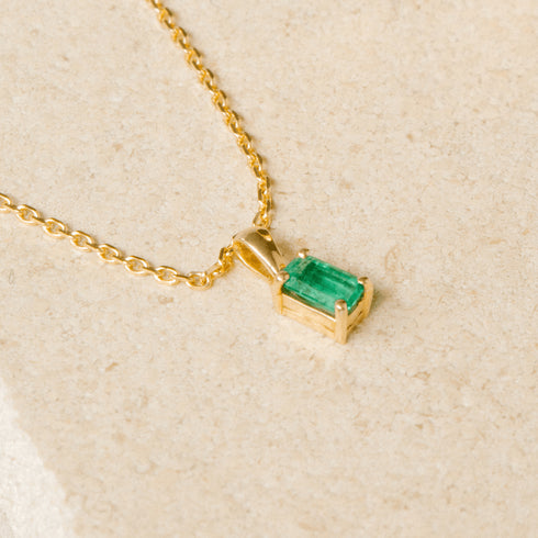 Collar Graciano - Ready To Go